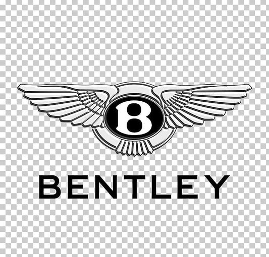 BENTLEY DME BENCH UNLOCK BENTAYGA CONTINENTAL FLYING SPUR MG1CS00X