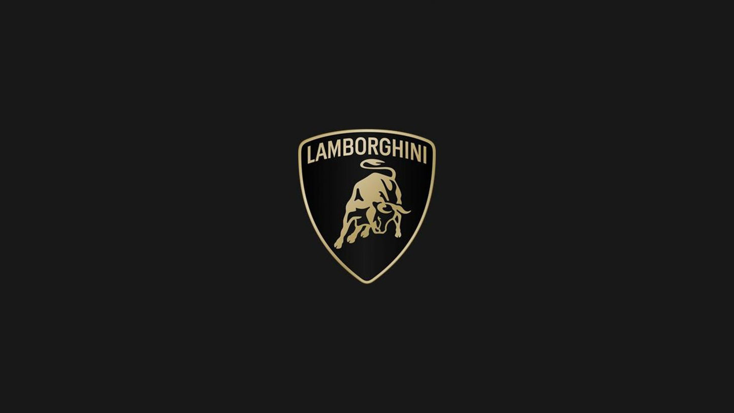 LAMBORGHINI DME BENCH UNLOCK URUS